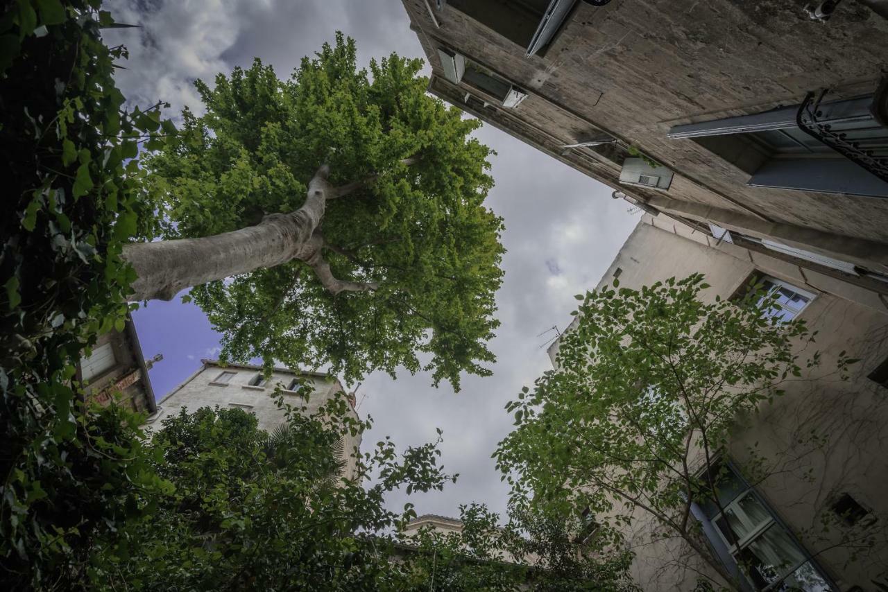 Les Jardins De L'Ecusson - Premiere Conciergerie Montpellier Exterior foto